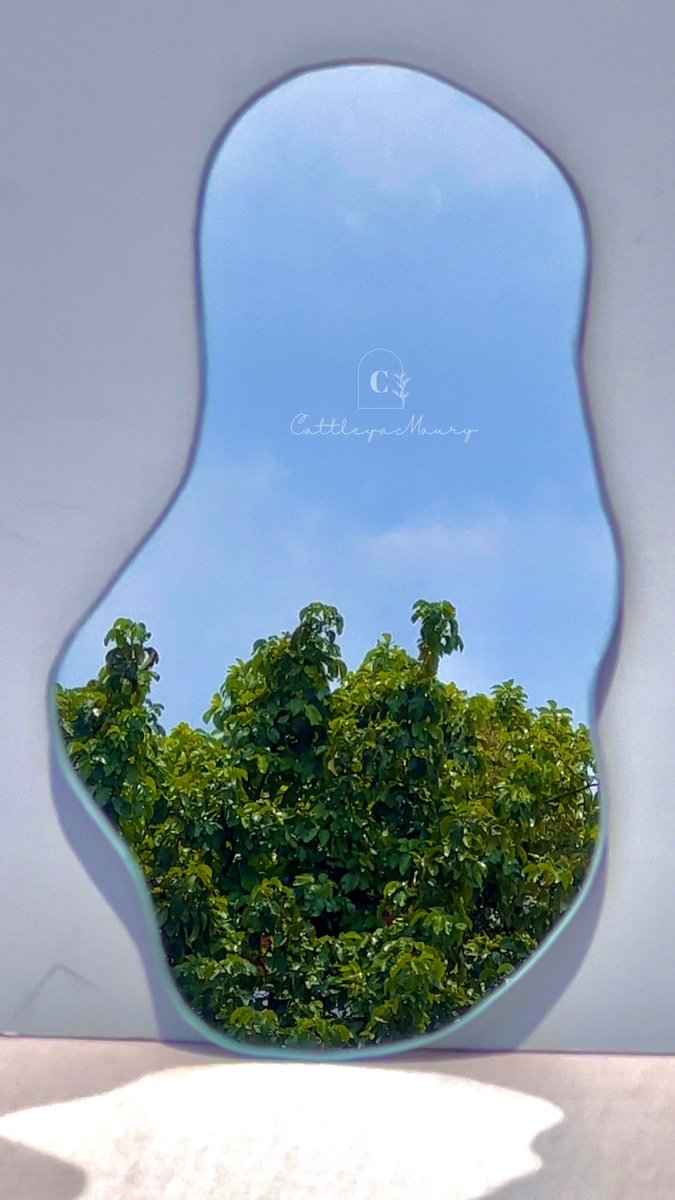 uppercatt's tweet photo. If there’s a design trend you’ve been wanting you could incorporate into your home, it’s probably @cattleyamaury’s Frameless Abstract Mirror 😉 https://t.co/AtoPOHb0nk