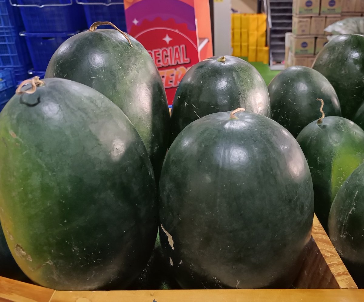 ގދ. ވާދޫއިން ވަރަށް ތާޒާ ކަޅު ކަރާ ޝިޕްމެންޓެއް މިއަދުވަނީ ލިބިފަ . 😊
 ފޮނި މީރު ދިވެހި ކަރާ، ފަނި ގިރާލަން މިވަރެއް ނެތް. 
ހޯލް ސޭލް 18 ރުފިޔާ (5 ކިލޯ ފެށިގެން)
އޯޑަރު ކޮށްލެއްވުމަށް 3012640 އަށް ގުޅުއްވާލައްވާ، ނުވަތަ 7291130 ވައިބާރ ކޮއްލަދެއްވާ ! 

💯% #DhivehiUfehdhun 🌱