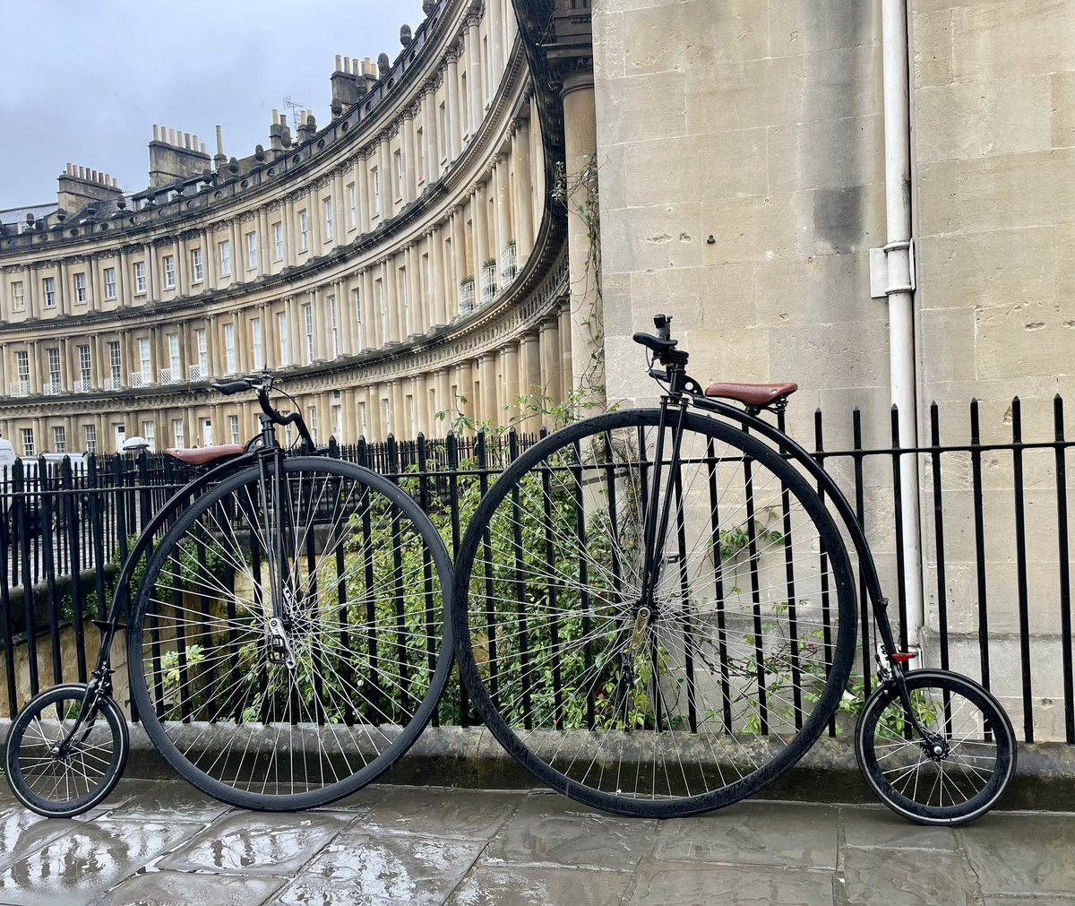 Fiona Strawbridge tweet media