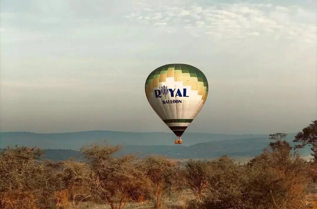 BoscoManirabona's tweet photo. KAYONZA again🥰🥰🇷🇼🇷🇼
ubu wakogoga ikirere cya parike y'Akagera wibereye muri balloon, sindayijyamo ariko umunsi nayigiyemo ntimuzankira na video zo mubicu😂😂😂
@AkageraPark 
@AkageraAviation 
@RoyalBalloonRW 
#VisitKayonza
#VisitRwanda https://t.co/kMcTBOsBYF