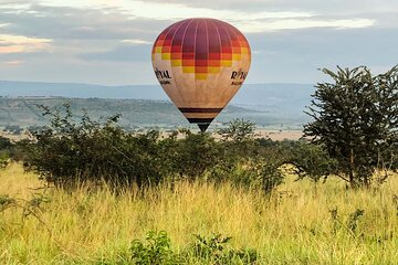 BoscoManirabona's tweet photo. KAYONZA again🥰🥰🇷🇼🇷🇼
ubu wakogoga ikirere cya parike y'Akagera wibereye muri balloon, sindayijyamo ariko umunsi nayigiyemo ntimuzankira na video zo mubicu😂😂😂
@AkageraPark 
@AkageraAviation 
@RoyalBalloonRW 
#VisitKayonza
#VisitRwanda https://t.co/kMcTBOsBYF