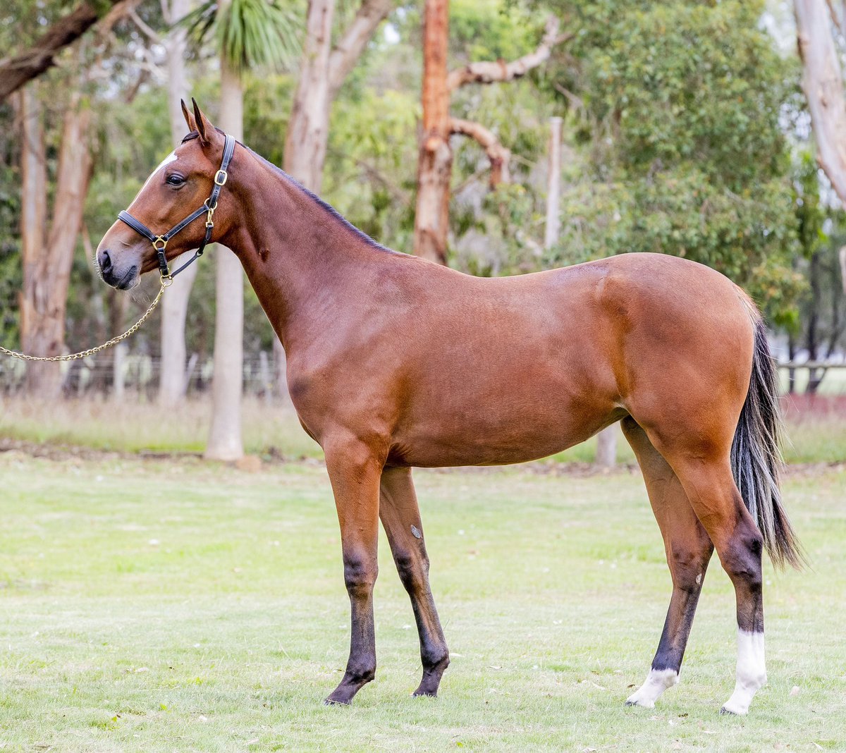 Glen Craven tweet media