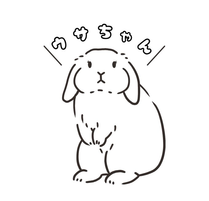 近々、新しいTシャツの毛色モデルになっていただく うさぎさんを募集する予定です🐰 