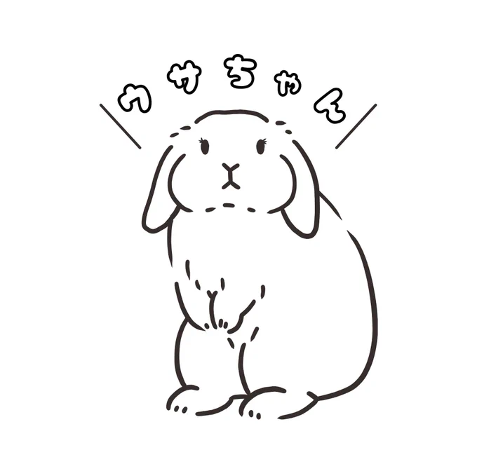 近々、新しいTシャツの毛色モデルになっていただく うさぎさんを募集する予定です🐰 