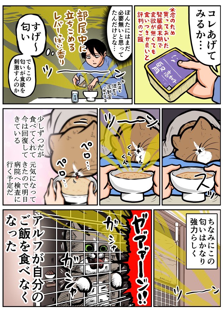 猫の飯で沼る日記(1/2) 