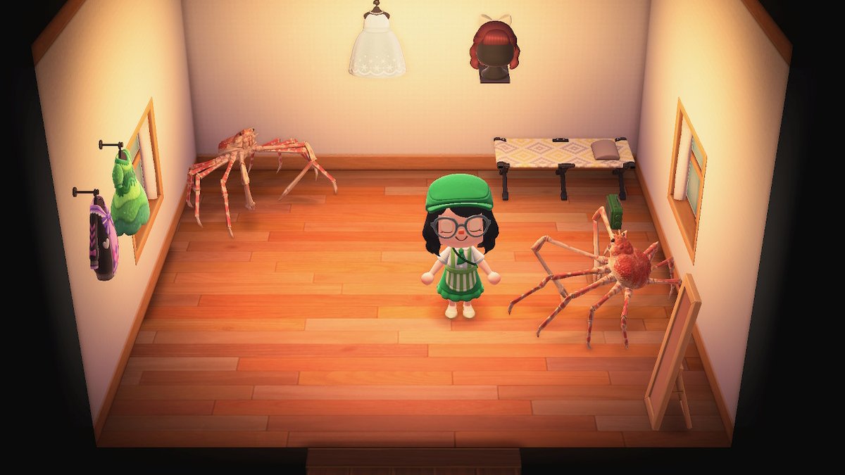 blastyoffaperc's tweet photo. guys live like this and see no problem #AnimalCrossing #ACNH #NintendoSwitch https://t.co/Ll3h9ZqNSn
