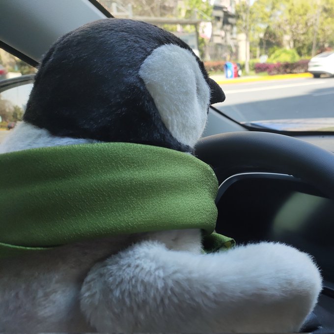 #新头像煽り運転手、ちとせちゃん、でーーす🐧😡 