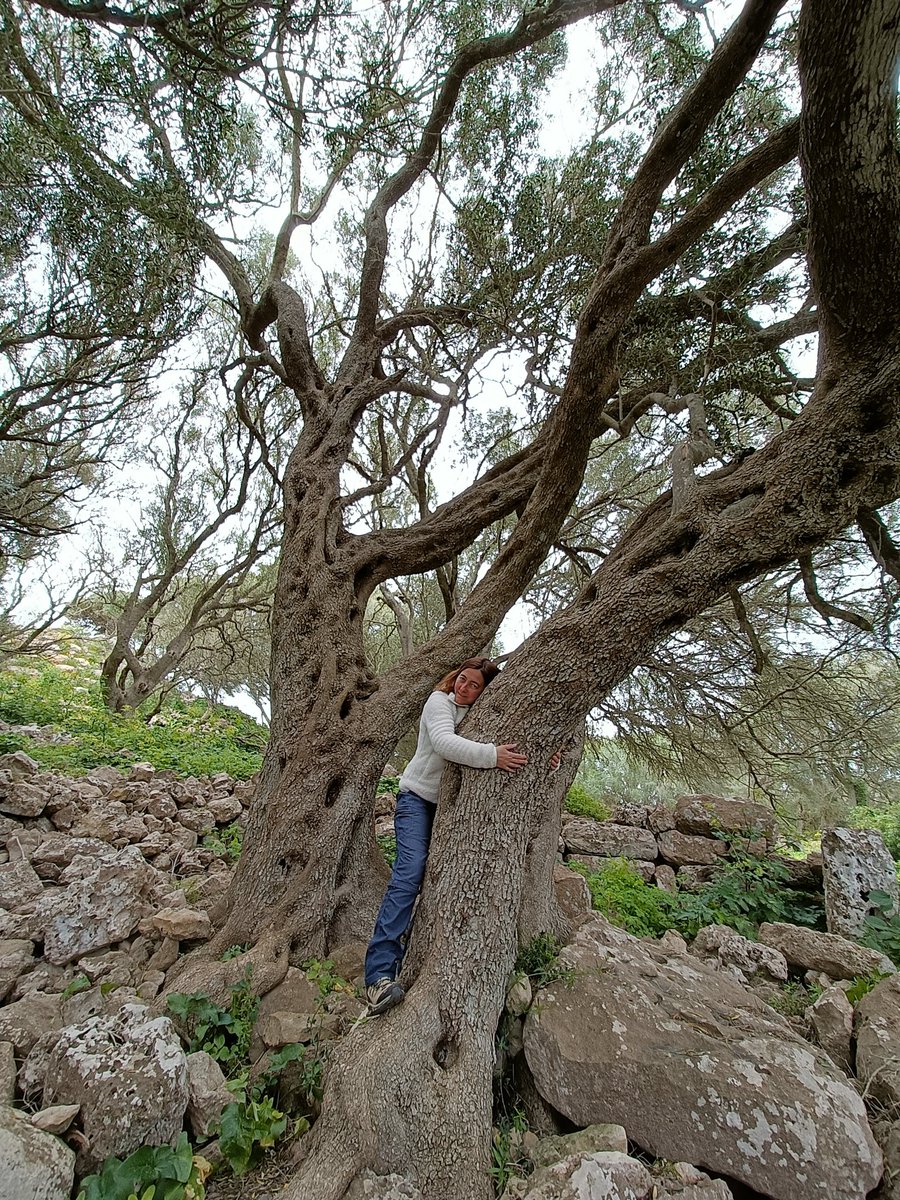 PyreneesPrime's tweet image. Travel out of season.

Visit early, or late.

Take a moment to stop.

And find a moment that will last a lifetime.