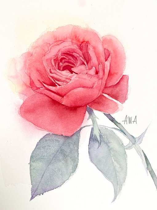 真っ赤な薔薇が完成しました!!赤は苦手なのでとても苦戦しましたが発色強めのレンブラントの絵の具に助けられつつなんとか完成できましたーー!!! 