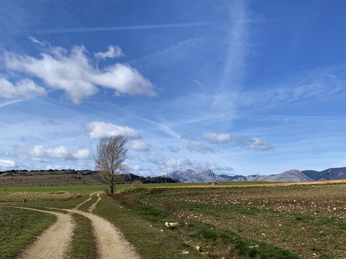 Gabrielaespiral's tweet photo. "Si unos ojos se te niegan
cuando les das tu mirada,
tú no dejes de mirarlos,
espera.
(...)
De tierra tus manos son,
tenlas abiertas
(...)
Volverán agua y amor:
a nadie deja vacías
las manos la primavera."

🖊️ Pedro Salinas

¡Buen domingo! https://t.co/F6gbUDQoDM
