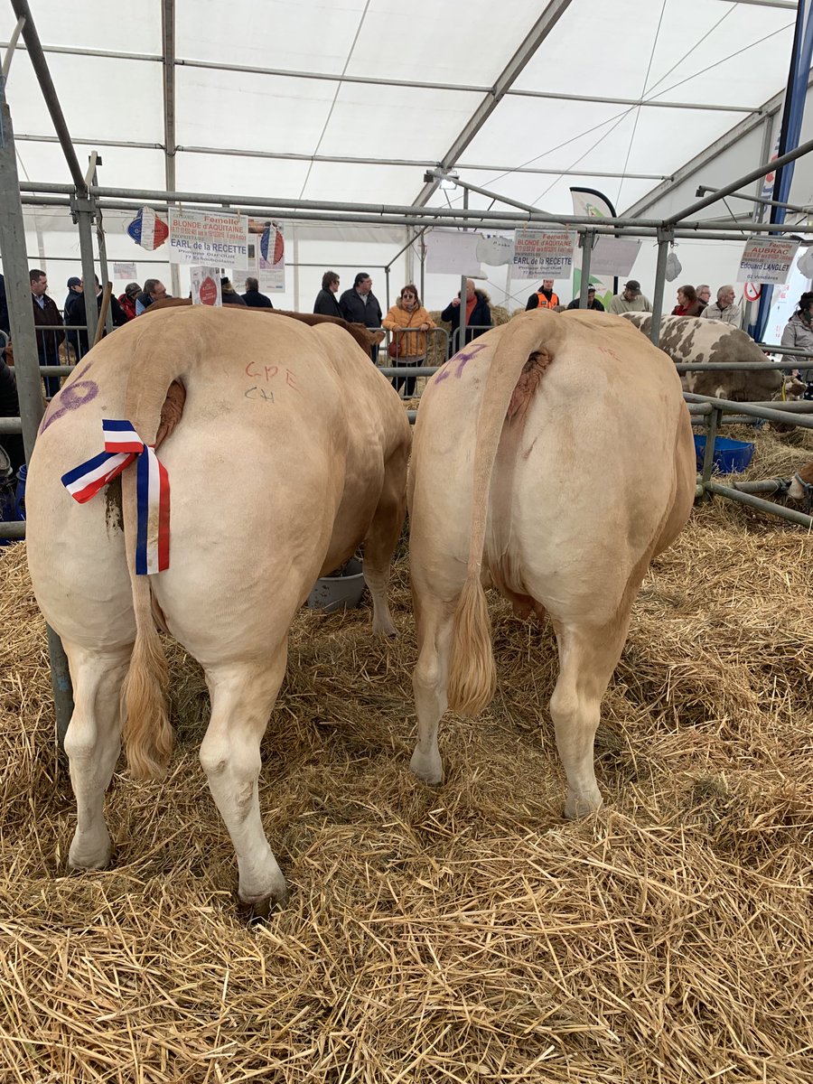 DeplancheC's tweet photo. Foire de coulommiers ⁦@InterbevIDF⁩ ⁦@DufourPhilipp11⁩ ⁦@PavillonViandes⁩ ⁦@BienManger⁩ ⁦@ChLambert_FNSEA⁩ https://t.co/VV9ysxJs31