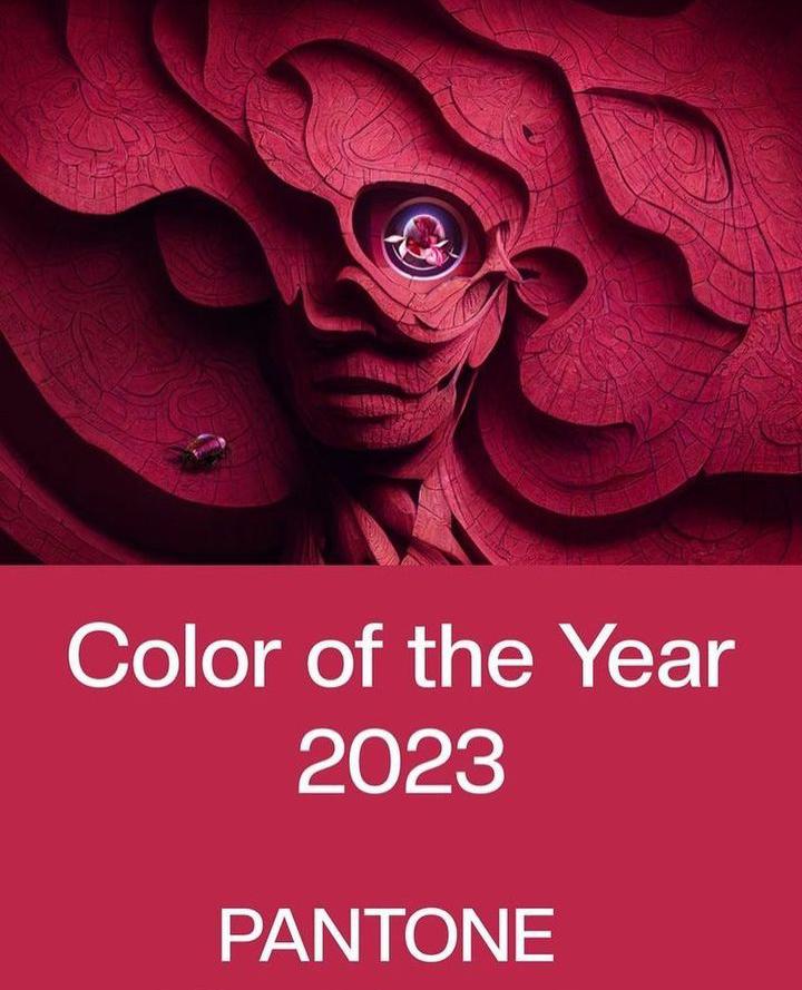 Color of the year 2023 
VIVA MAGENTA💞