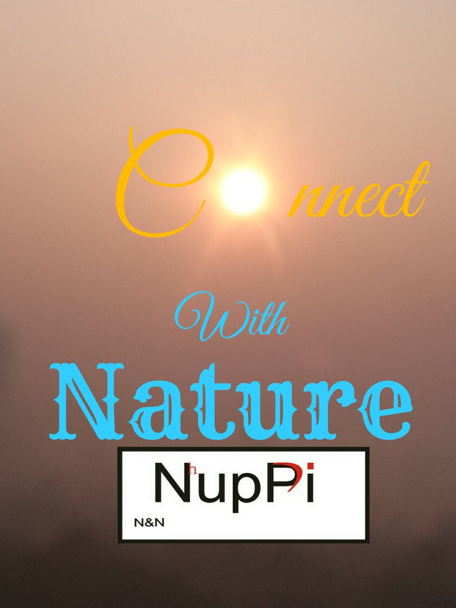 NHUPPI's tweet photo. #Environment
#SustainableFashion
#NHUPPI https://t.co/GyQFG3JmXQ
