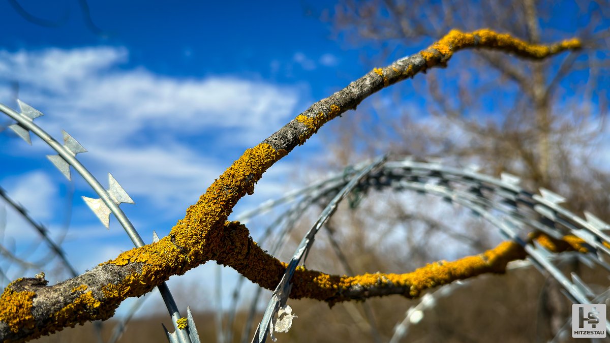 #picoftheday #photooftheday #imageoftheday

Just some small branches

#AppleiPhone14Pro #Apple #photography #mobilephotography #smartphonephotography