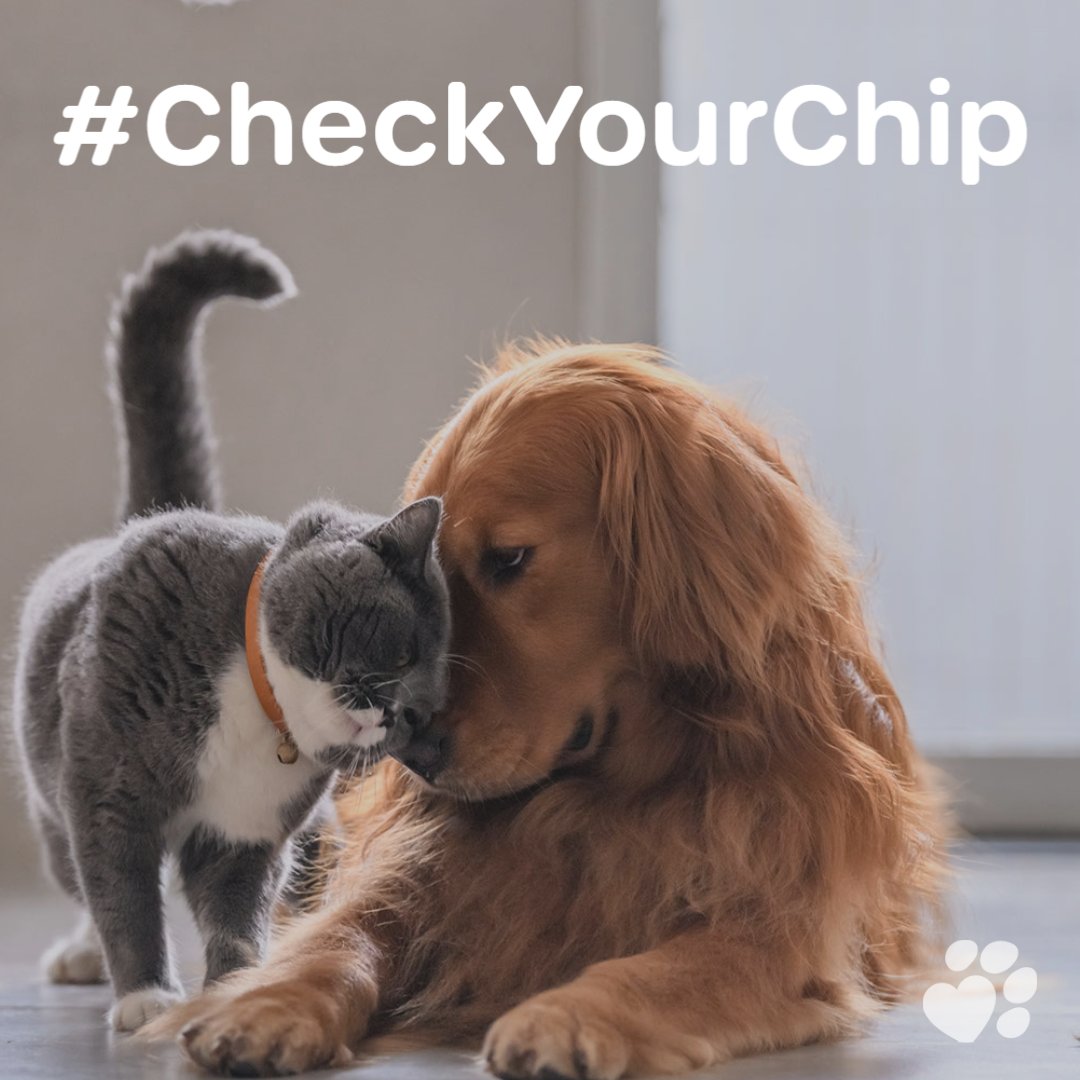 identibase's tweet image. It's the end of the week and a great time to #CheckYourChip! 🐾
Microchips are proven to increase your chances of being reunited with your pets, should they go missing, lost or stolen - but only as long as they're kept up-to-date.🐶🐱

#CheckTheChip #CatsOfTwitter #DogsOfTwitter