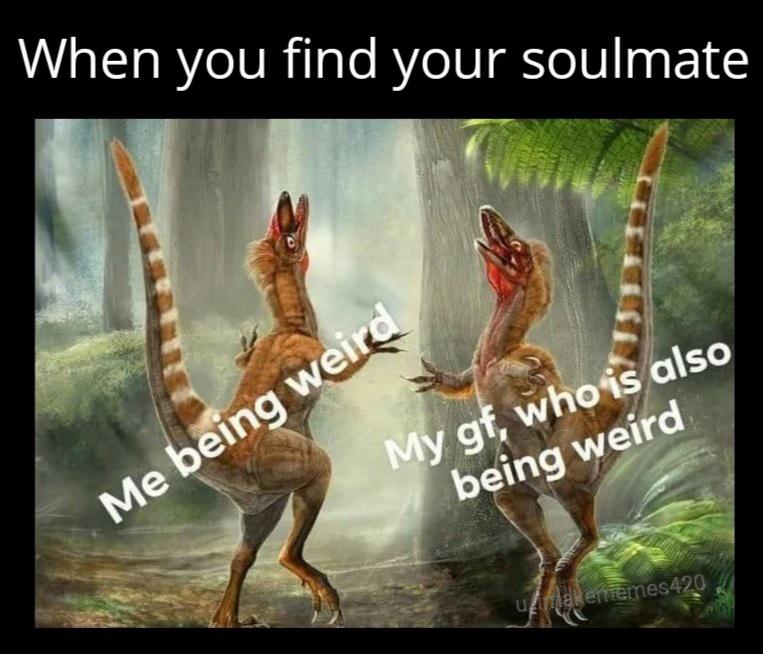 WholesomeMeme's tweet photo. https://t.co/scPPGT5Z0M