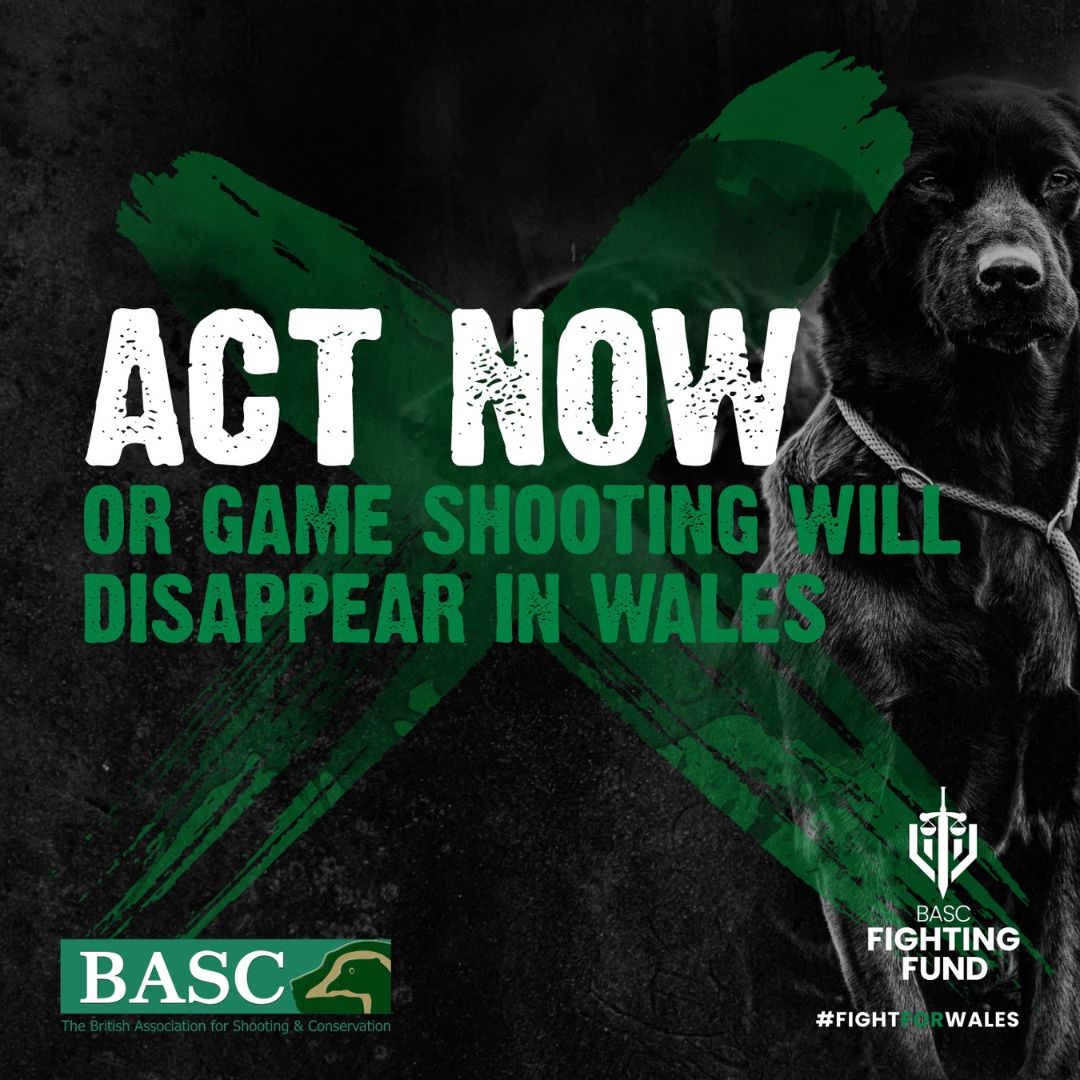 The message has never been clearer... Act now and say NO to gamebird releasing restrictions!
orlo.uk/ACT_NOW_wWmIj
If the proposals are implemented, gamebird releasing will be only allowed under licence, giving the Welsh Government the power to shut down game shooting in Wales.