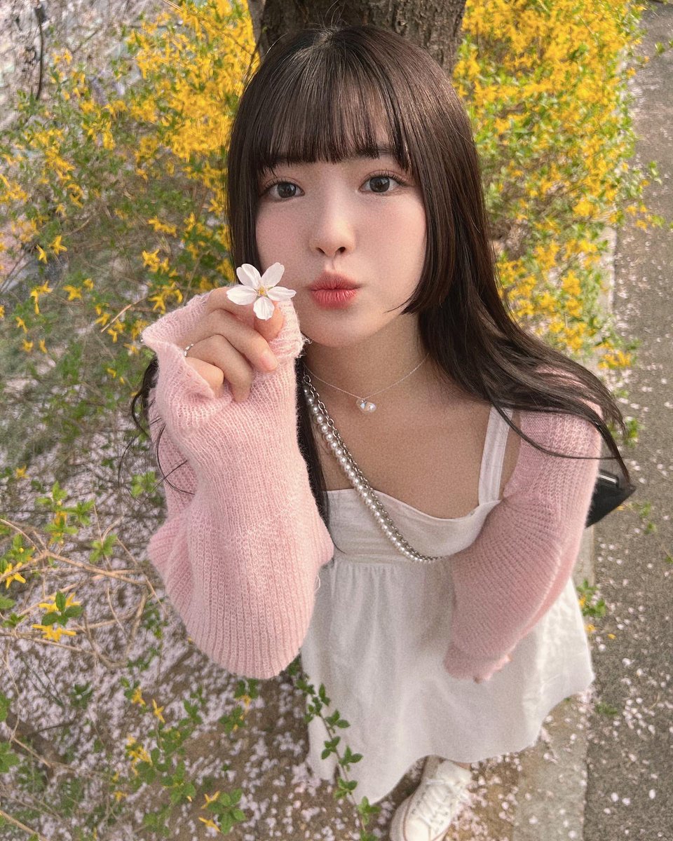 Geumheevely's tweet photo. 韓国は桜が満開です 🇰🇷🌸🌸🌸
日本のさくらもみたい😢 https://t.co/n4Wt4HFS97
