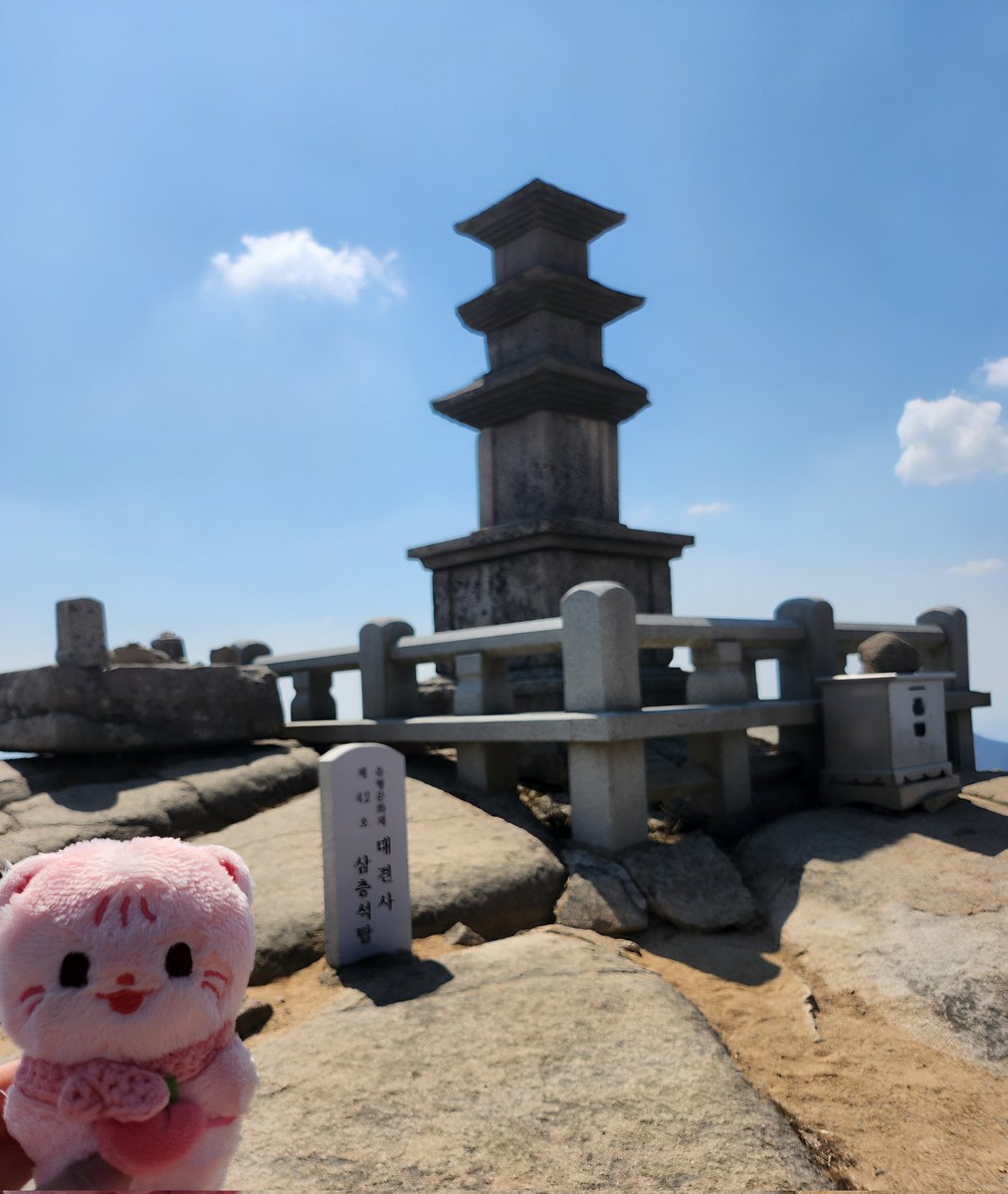 숩달이 새랑 친구먹음🐦‍⬛🦦