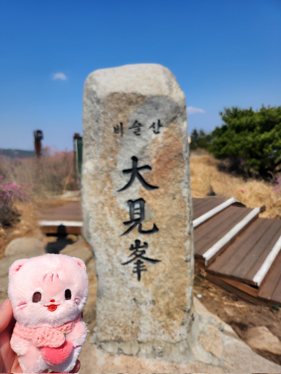 수고했어 숩달아👍