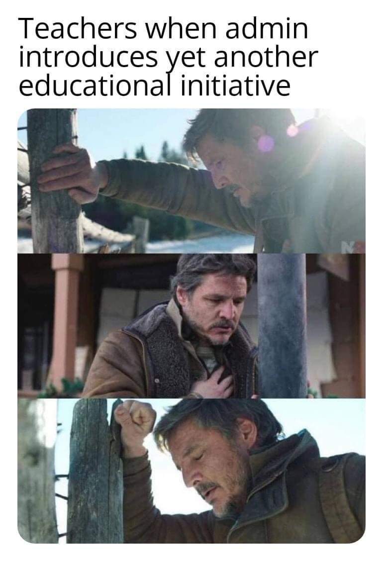 angie can tweet media