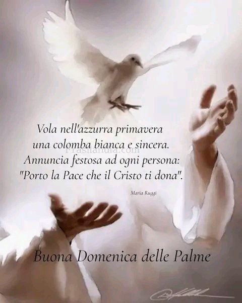 #BuonaDomenicadellePalme  amici cari