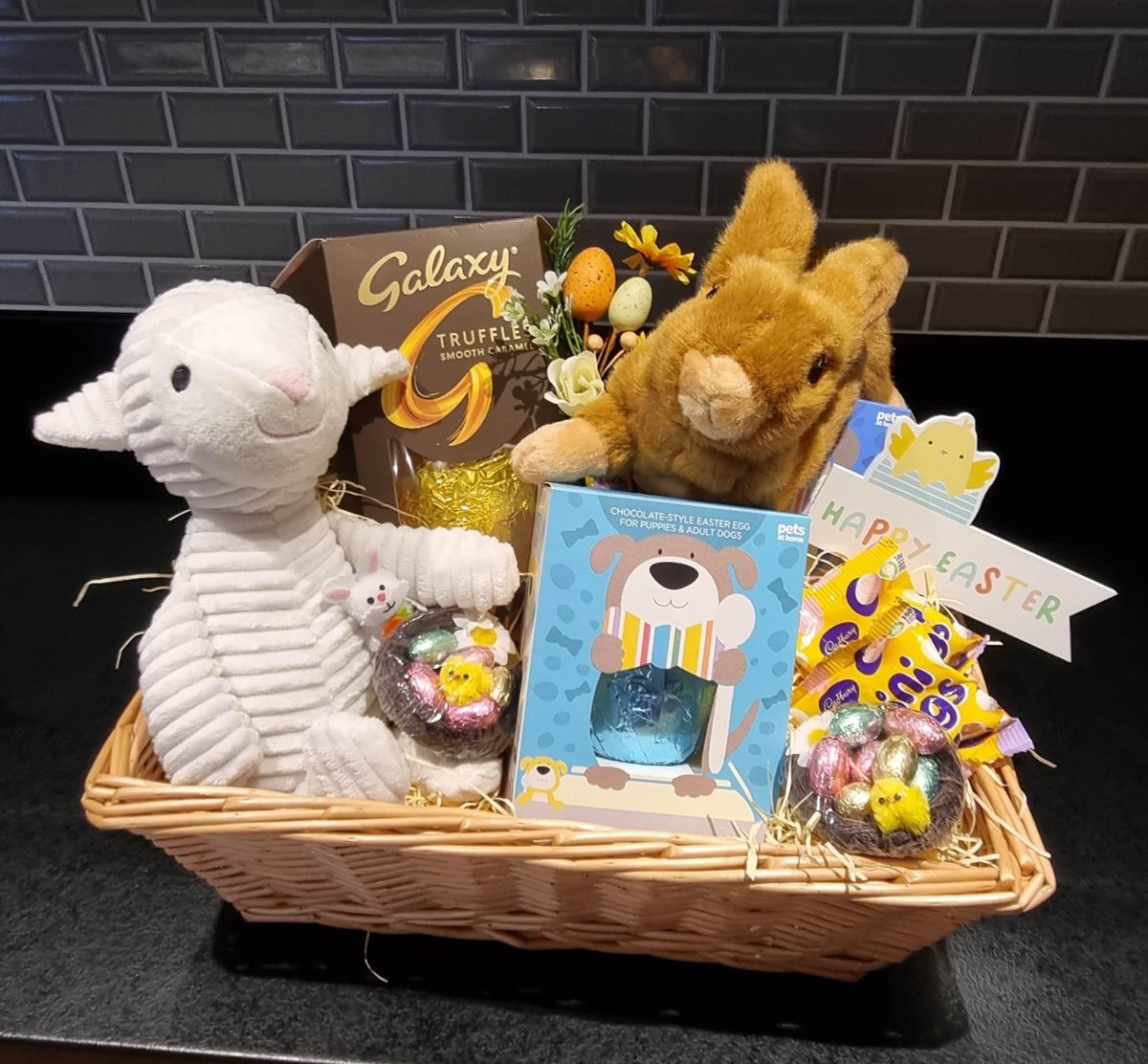 SighthoundSocialClub tweet media