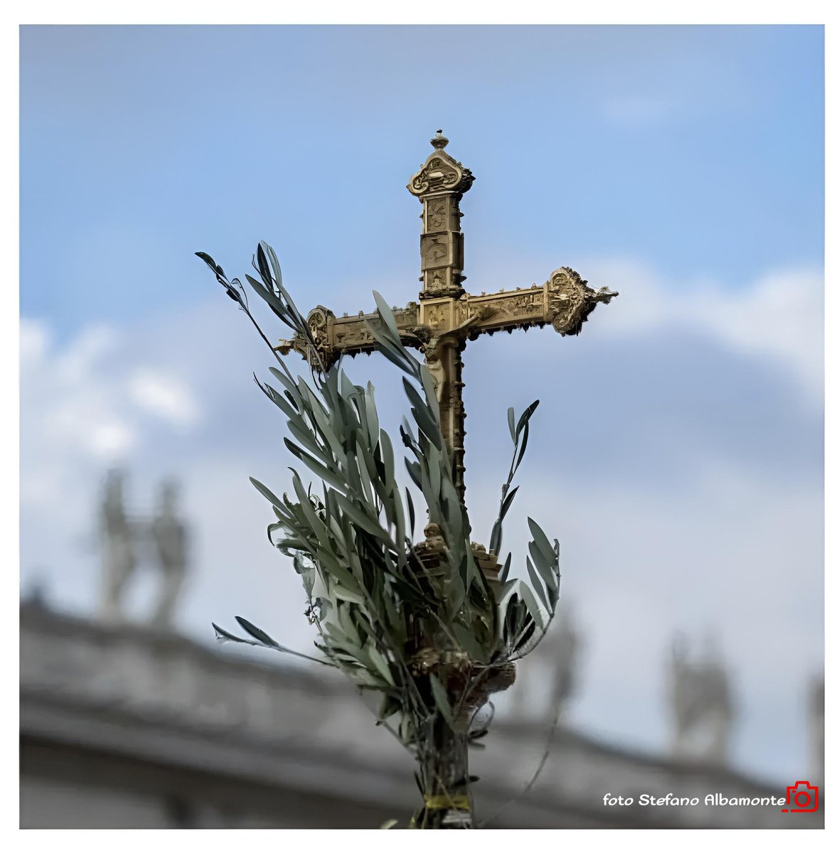 stealbamonte73's tweet photo. Che questo ramoscello d’ulivo ci ispiri a fare del bene e a vivere in pace con il mondo. Buona Domenica delle Palme 🌿

📷 Stefano Albamonte ©️ https://t.co/Y2jjOTZ3CE