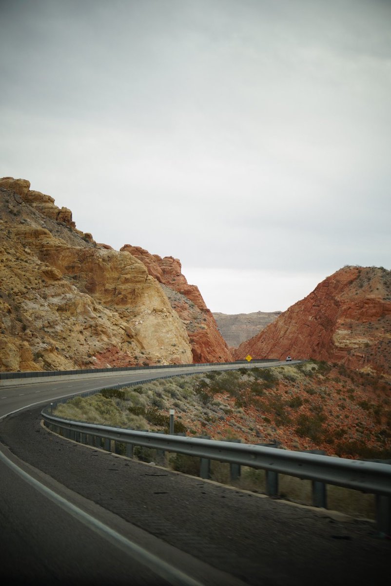 Lana del Rage tweet media