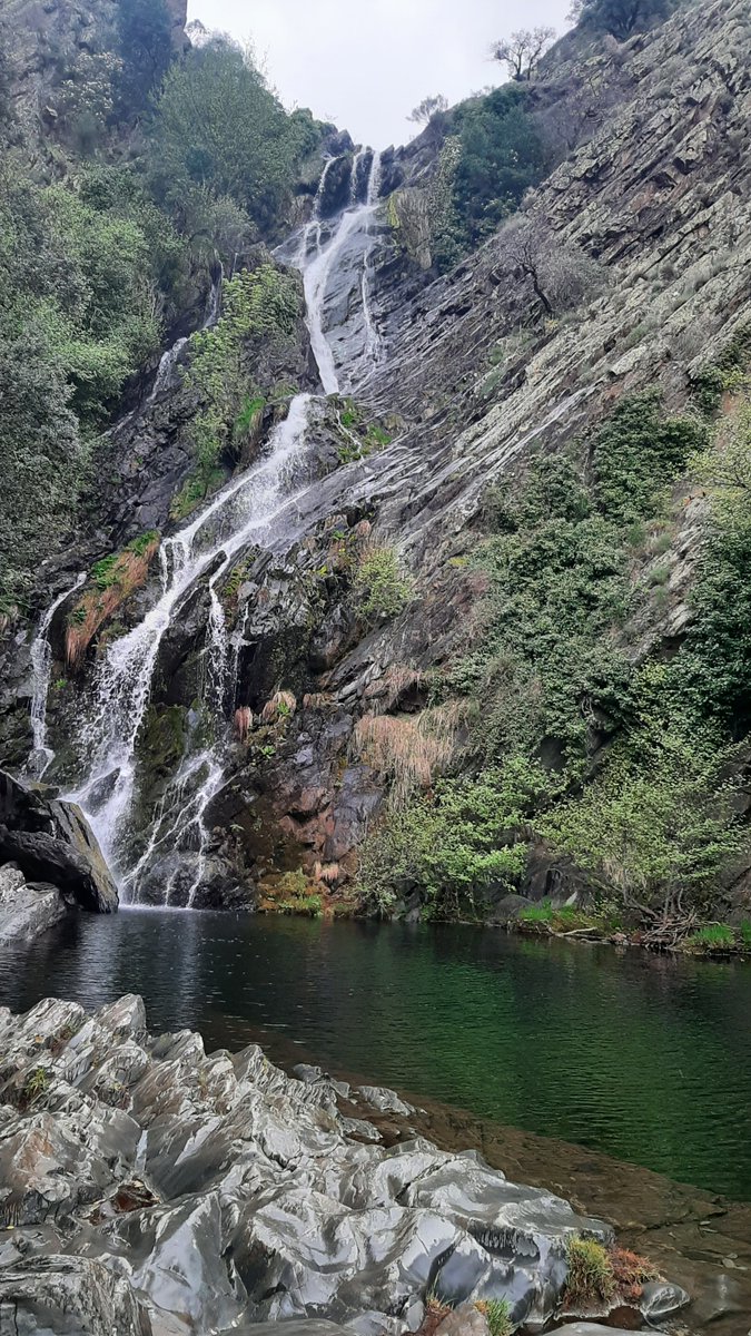 Javier Sachez (sin n) tweet media