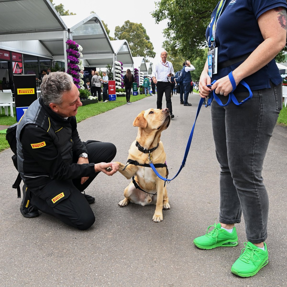 Is your heart rate rocketing from this intense ending to the #AusGP? 🥵 Here's @Mario_Isola and a cute doggo from @AssistanceDogs to help you unwind 😌