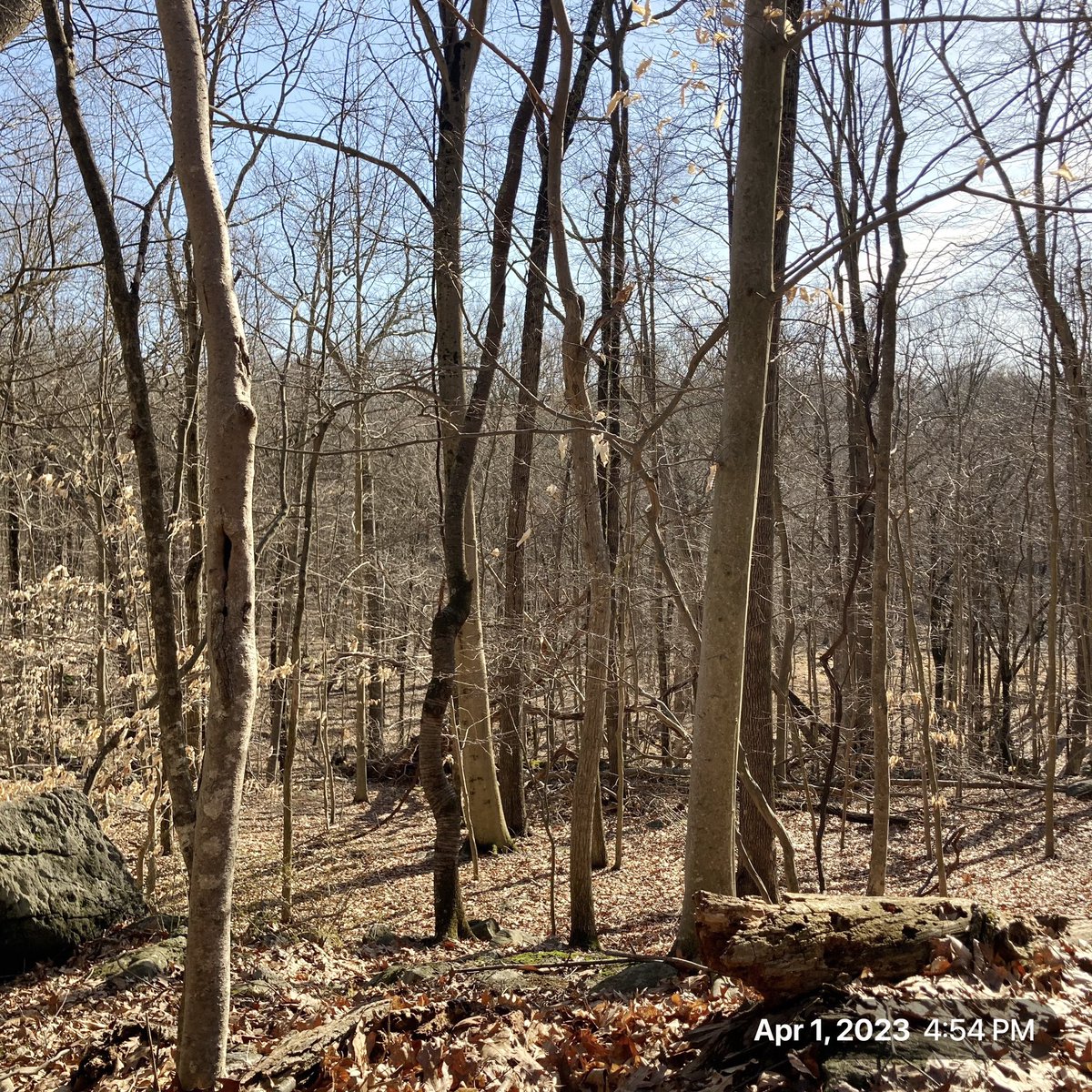 The_Earthmonk's tweet photo. Setting sun and the little blue dot.  #ctwetlands #ctstateparks #ctnaturelovers https://t.co/ayXnfr4MTU
