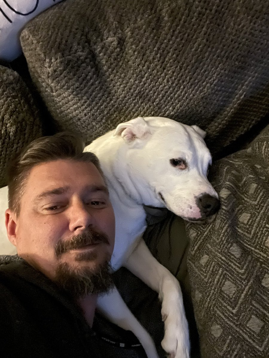 theonlydfent's tweet photo. My bestest girl #pitlab #mybestfriend #khaleesi #gupkins #guppy https://t.co/i1oYp0fdwp