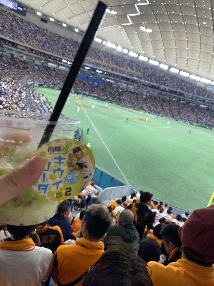 dr3giants's tweet photo. うさほー🐰
今日は現地でした！
尚輝のタイムリーに数々のファインプレーも観れて満足です🦊
そして長野さんお帰り👏
＃giants
＃吉川尚輝
＃尚輝たまらん https://t.co/lhf5K3tuVI