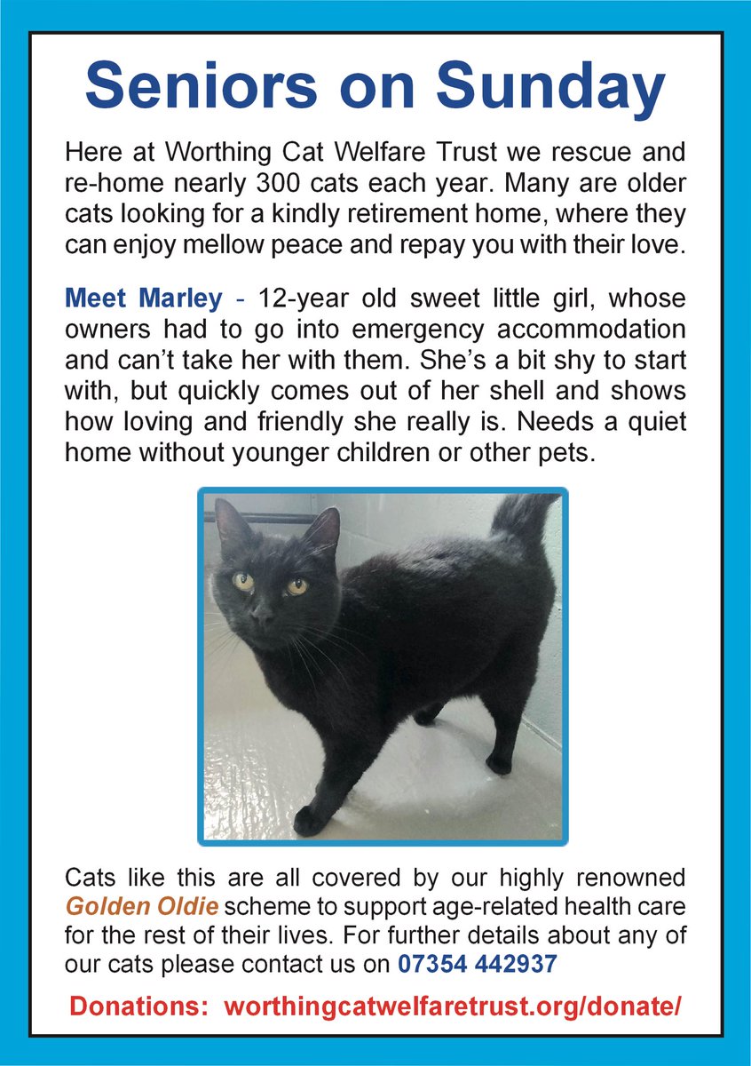 WCWT_Cats's tweet photo. https://t.co/R5pWymk9wT

#AdoptDontShop 
#rescuecat 
#worthingcatwelfaretrust 
#worthingjournal 
#brighton 
#sussex https://t.co/8bWmdnZD5d