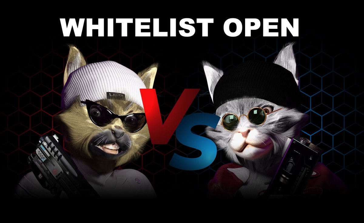 catfightnft's tweet photo. 🐱🚪 The doors to the Cat Fight Whitelist are closing soon! If you're a true cat lover, don't miss your chance to join the ultimate cat community! 😻🎁 Get ready for exclusive events, giveaways, and lots of adorable cat pics! 📸💖https://t.co/ebNWPTrviE #NFT, #NFTs, #Crypto, #P2E https://t.co/o4JZVHq5xf