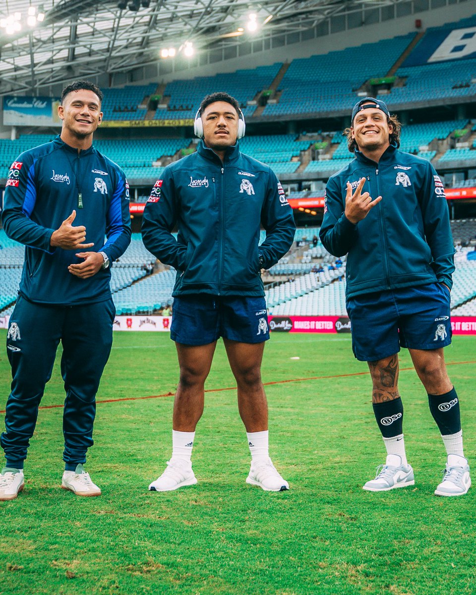 CanterburyBankstown Bulldogs on Twitter "𝙂𝙍𝙊𝙐𝙉𝘿𝙄𝙉𝙂. 🐾"