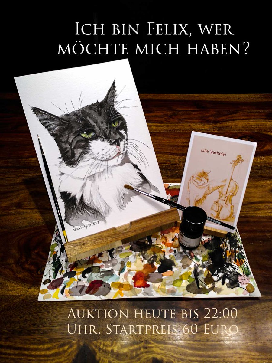 Ich,Felix suche ein neues Zuhause .😺
Bei wem darf ich einziehen? #Auktion heute bis 22:00 Uhr, Startpreis 60 Euro.
 Unikat #Tuschebild 18x26
#kunstkaufen #katze #katzen #katzenliebe #ichliebekatzen #tierzeichnung #tierportrait #catart #cutecat #artforsale #kleineKunstklasse #cat