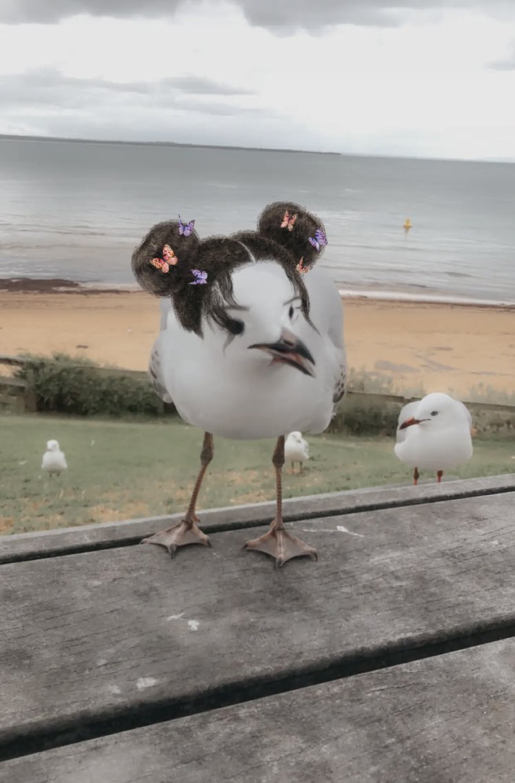 Jane_Mary_P's tweet photo. When you take a photo with no glasses on and snap chap has a filter on #photo #snapchap #photography https://t.co/YXLhAudA7c