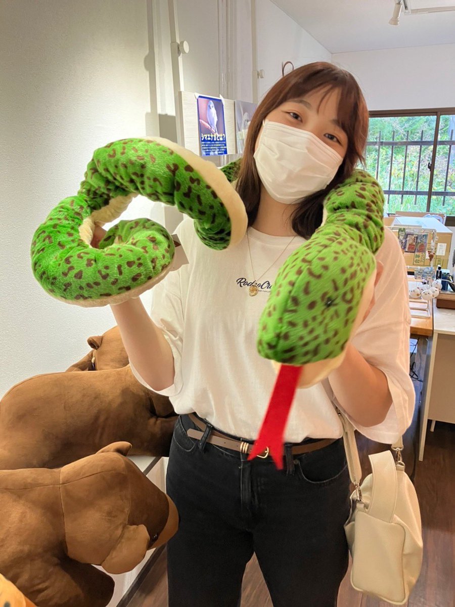 tsukubaredou20's tweet photo. 投稿のペース上げます！！

2年生紹介第8弾🐼🐼

名前:川又愛(かわまた あい)
所属:人間学群障害科学類
ポジション:レフト･ミドル
出身:山形県
好きな言葉:期間限定 https://t.co/AqnPnSP2nj