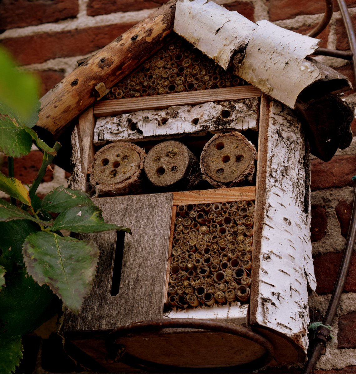 28MaaikeVogel09's tweet image. #goedemorgen 
Vandaag #2april is dag 2 van de #fotochallenge #camera_a_pril initiatief van @jolandabrwr
Vandaag is het thema/uitdaging #huis 
In mijn archief vond ik huizen voor #vogels , #insecten en #mens zowel op het droge als in het water.
#fijnezondag #genietervan