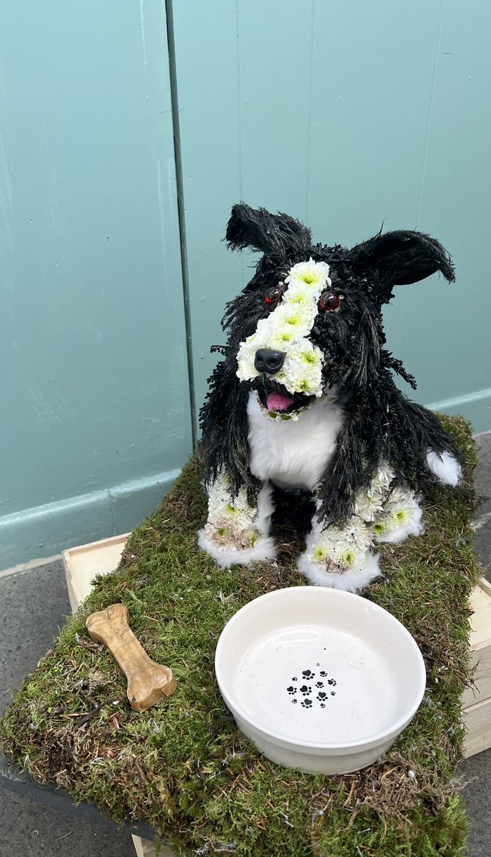 Forget Me Not Florist Neath tweet media