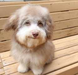 RodJohnson tweet media