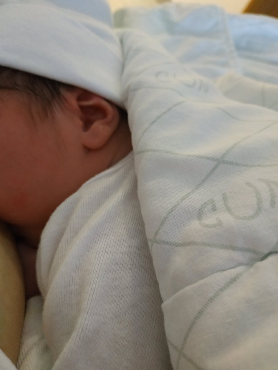 Bienvenido, Martín 💖