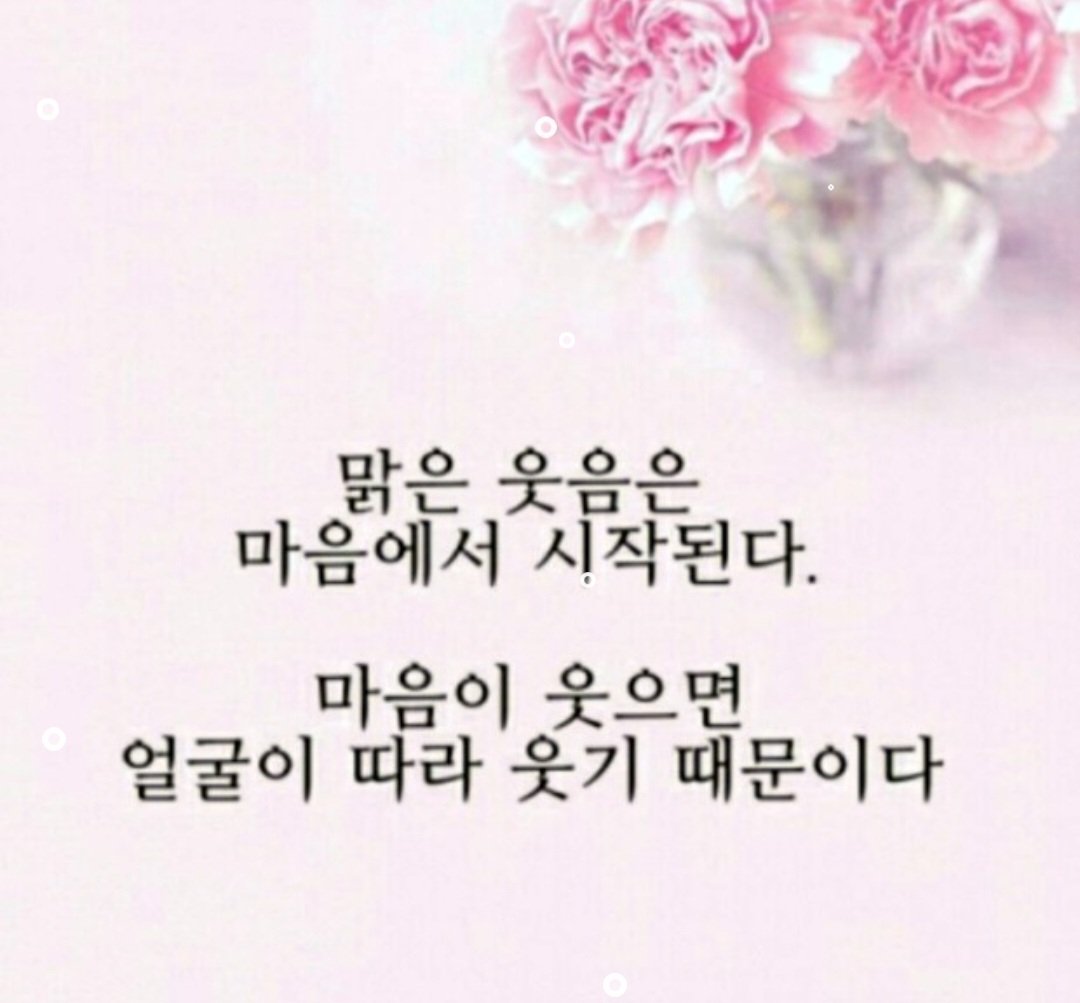 김사라 (@u3kccfsojzkrfvi) on Twitter photo 