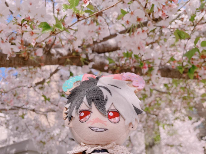 ブラくんの春 