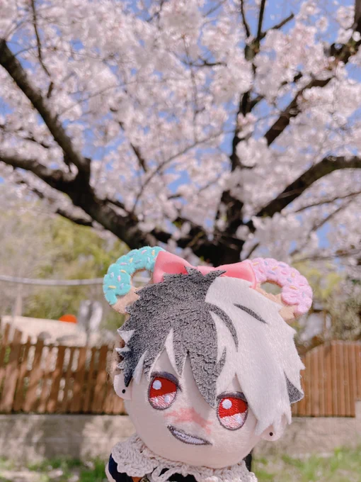 ブラくんの春 
