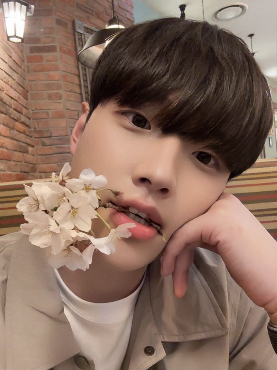 벅곷
