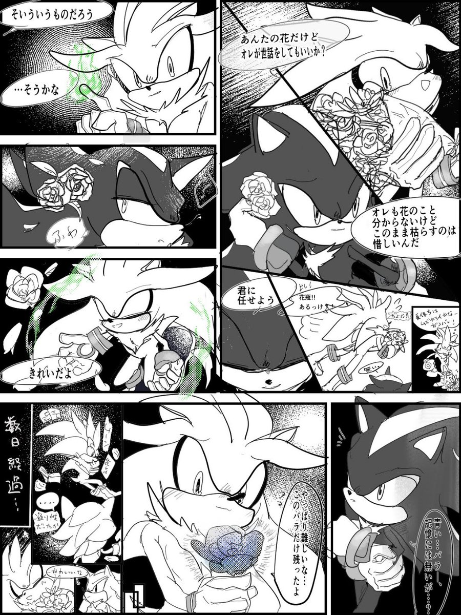 #Shadilver
#SonicTheHedgehog
シャシル漫画、一旦中編まで(1/2)
非常に読み辛いです…!
