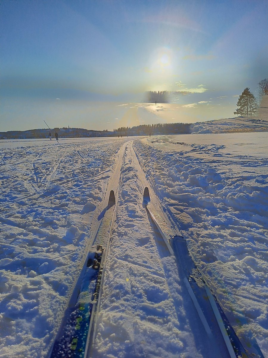 Onpas ollu ihanat #hiihto kelit viikonloppuna! 😎

#jyväskylä #thisisfinland #crosscountryskiing